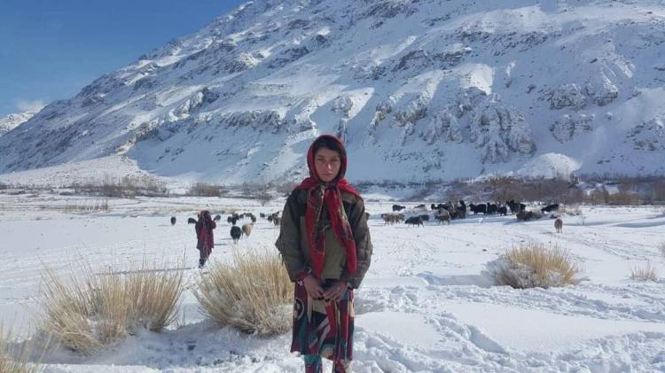 Pamir Institute; Une jeune fille de Qalah e Panja avec du bétail en hiver - Photo par Asad Wakhi