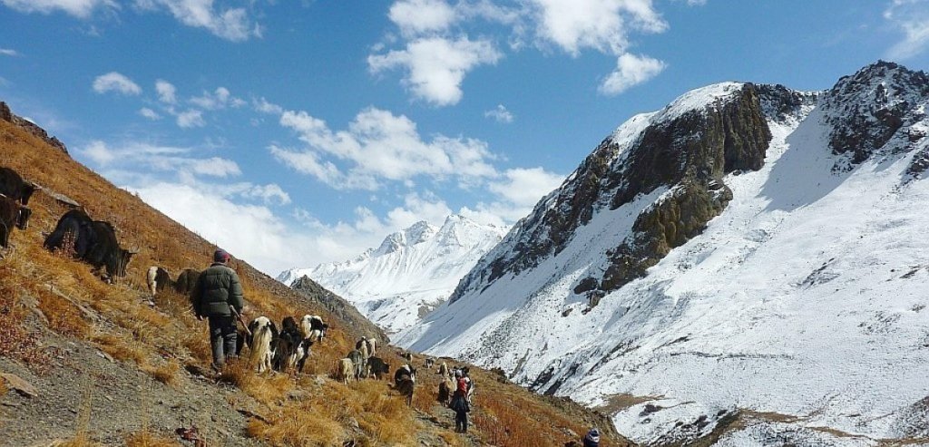 Pamir Institute: Traders and yaks in Wakhan corridor. (Archives AFP / Gohar Abbas)